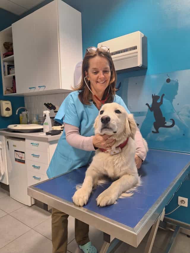 Consultation vétérinaire